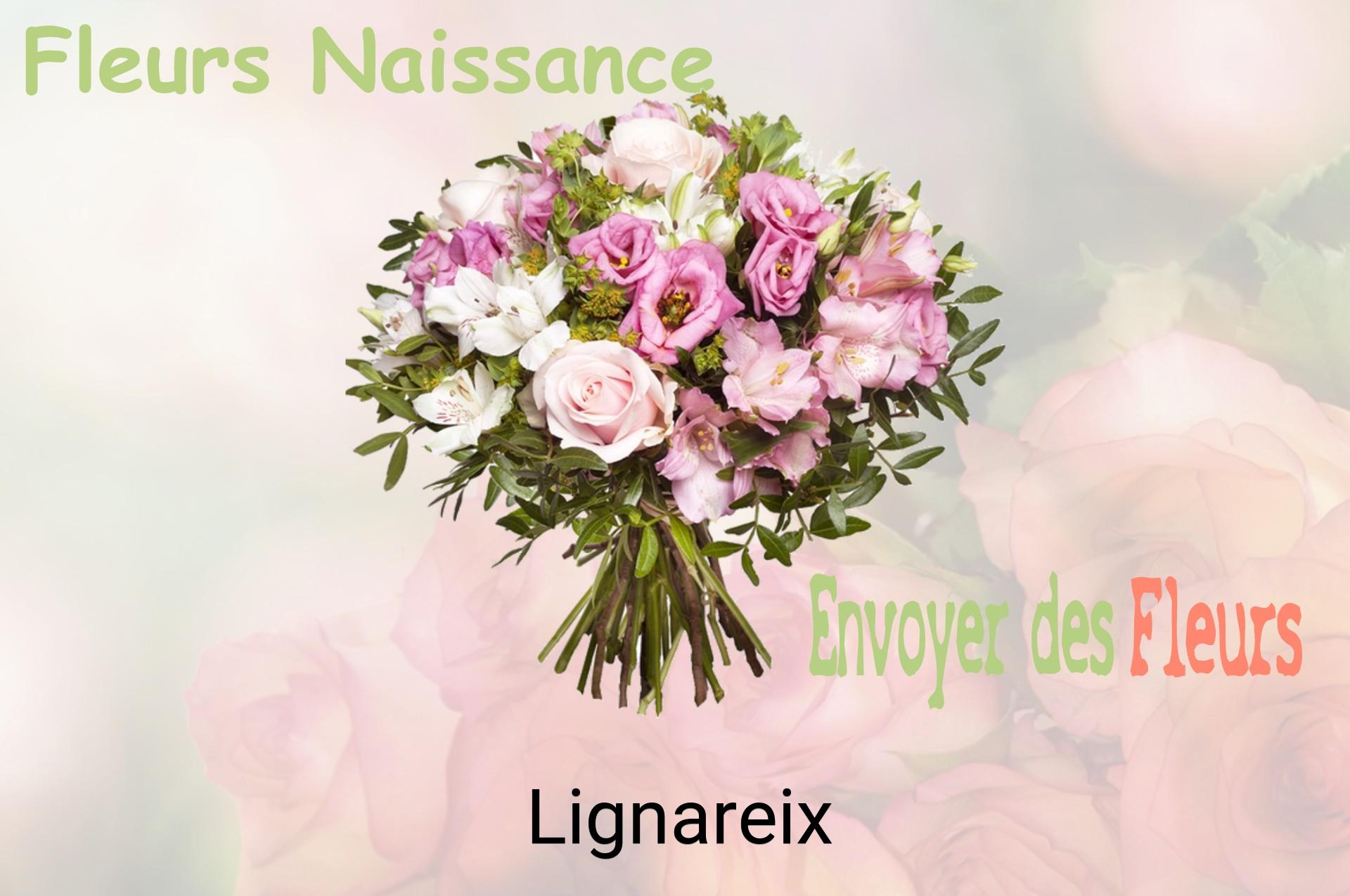 Bouquet de fleurs de naissance livré à Lignareix